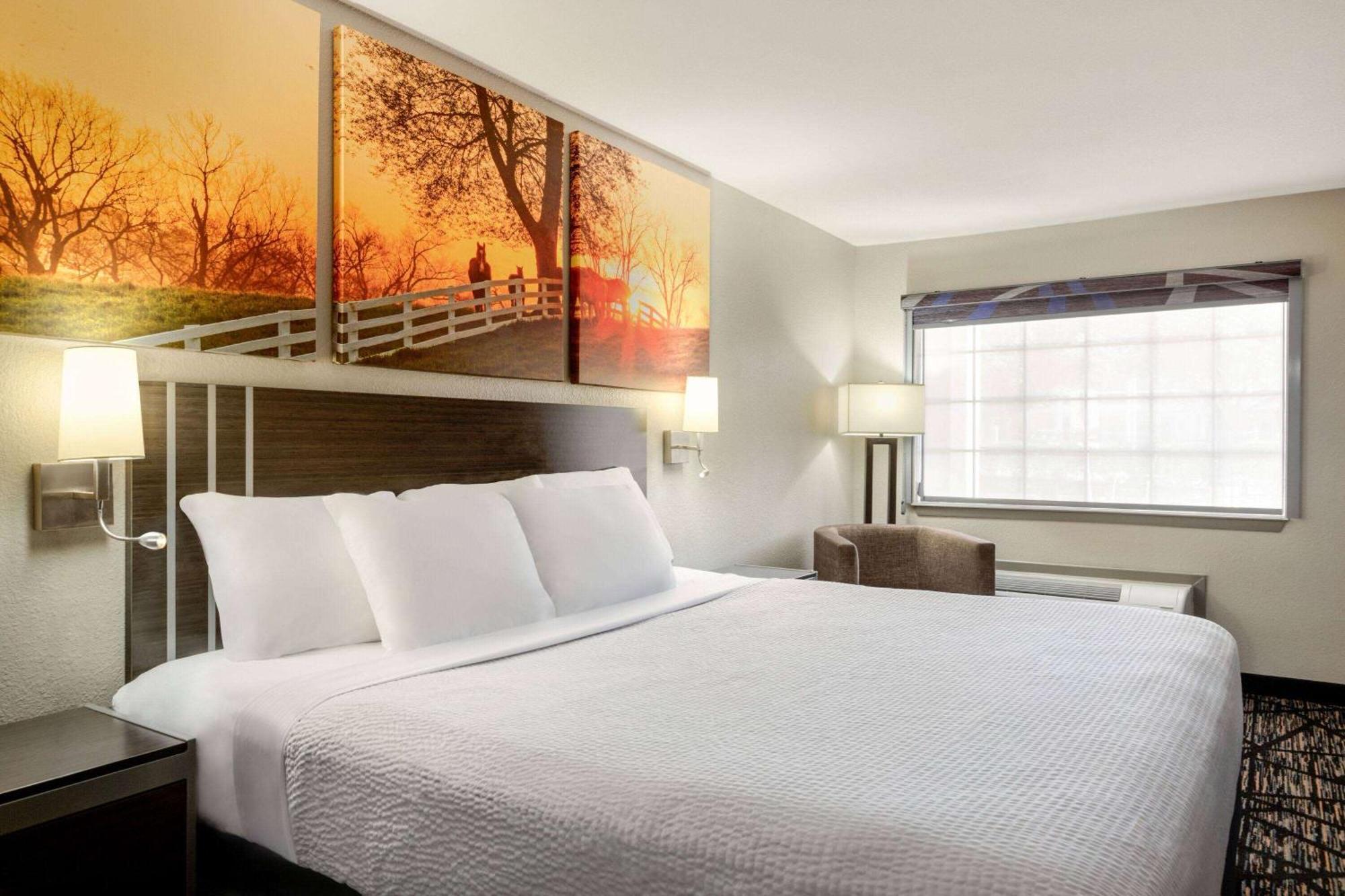 Days Inn By Wyndham San Antonio Near Fiesta Park Ngoại thất bức ảnh
